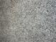 Close up of textured stone-like speckled floor at 10308 Fore Dr, Tampa, FL 33612