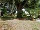 A spacious grassy yard filled with mature oak trees and other Florida vegetation under a bright sunny sky at 10308 Fore Dr, Tampa, FL 33612