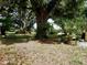 A spacious grassy yard filled with mature oak trees and other Florida vegetation under a bright sunny sky at 10308 Fore Dr, Tampa, FL 33612