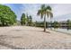 Sandy community beach with palm trees and beautiful clear lake, perfect for relaxation, swimming, and enjoying the outdoors at 10641 Cory Lake Dr, Tampa, FL 33647