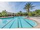 A large community pool offers lap lanes, shallow ends, lounge chairs, and surrounding tropical landscape at 10641 Cory Lake Dr, Tampa, FL 33647