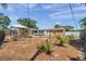 Wide backyard featuring a gazebo, a fire pit area, and a mix of tropical plants and mature trees at 1117 Tyrone N Blvd, St Petersburg, FL 33710