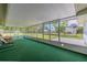 Enclosed lanai with green carpet and windows overlooking the backyard at 12220 Twin Branch Acres Rd, Tampa, FL 33626