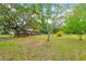 Lush backyard with large trees, sheds, and plenty of open space at 14339 Mayer Ave, Hudson, FL 34669