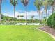 This backyard offers a beautiful waterfront view and mature palm trees lining the water at 1443 Obear Ct, Wesley Chapel, FL 33543