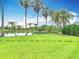 This backyard offers a beautiful waterfront view and mature palm trees lining the water at 1443 Obear Ct, Wesley Chapel, FL 33543