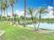 This property offers a beautiful waterfront view and mature palm trees lining the water at 1443 Obear Ct, Wesley Chapel, FL 33543