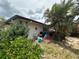 Backyard showing exterior of home, with room for seating, a bicycle, and surrounded by lush tropical plants at 1559 San Roy Dr, Dunedin, FL 34698