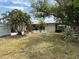 Spacious front yard showcasing a cozy home with mature trees and playful jockey-themed decorations at 1559 San Roy Dr, Dunedin, FL 34698