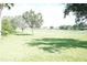 Lush green lawn with mature trees and landscaping, creating a peaceful and inviting backyard setting at 2325 Brookfield Greens Cir # 41, Sun City Center, FL 33573