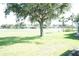 Scenic backyard view with mature trees, a grassy lawn, and neighboring homes in the distance at 2325 Brookfield Greens Cir # 41, Sun City Center, FL 33573