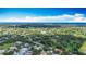 Lush aerial view of a neighborhood with ample tree coverage and clear blue skies at 2601 Brookville Dr, Valrico, FL 33596