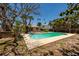 Beautiful pool surrounded by mature trees, offering a private and serene outdoor space at 3111 S De Bazan Ave, St Pete Beach, FL 33706