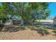Spacious backyard with mature trees and a mix of grass and foliage at 3256 Adrian Ave, Largo, FL 33774
