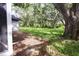 Expansive backyard featuring mature trees and lush greenery, offering a private outdoor oasis at 4260 Saint Lawrence Dr, New Port Richey, FL 34655