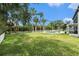 Lush backyard featuring a kidney-shaped pool, tall palm trees, and well-manicured green grass at 4353 Dewey Dr, New Port Richey, FL 34652