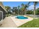 An inviting kidney-shaped pool surrounded by a stone patio, green grass, and mature palm trees at 4353 Dewey Dr, New Port Richey, FL 34652