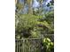 View of the private wooded backyard, as seen from the fenced porch, with lush, mature trees at 608 Black Lion Ne Dr, St Petersburg, FL 33716
