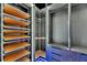 Organized walk-in closet with custom shelving and drawers at 6534 Simone Shores Cir, Apollo Beach, FL 33572