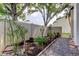 Lovely backyard showcasing mature trees, gravel, and manicured garden beds for a peaceful setting at 700 Starkey Rd # 1216, Largo, FL 33771