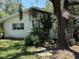 Exterior view of a house with green trees and shrubs, a white wall, trailing vines and green lawn at 7601 Pine Hill Dr, Tampa, FL 33617
