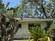 Exterior view of a house with green trees and shrubs, a white wall and green lawn at 7601 Pine Hill Dr, Tampa, FL 33617