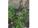 View of utility infrastructure amid lush foliage, showcasing a functional yet natural setting at 7601 Pine Hill Dr, Tampa, FL 33617