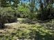 Lawn area in the backyard featuring mature trees and shrubbery, offers a shaded outdoor space at 7601 Pine Hill Dr, Tampa, FL 33617