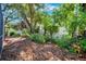 Backyard featuring mature trees and landscaping at 1120 43Rd N Ave, St Petersburg, FL 33703