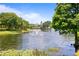 Scenic view of pond with a fountain, greenery, and mature trees, creating a serene atmosphere at 1122 Shipwatch Cir, Tampa, FL 33602