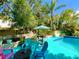Backyard featuring a pool, patio with colorful seating, and lush landscaping, creating a private retreat at 1330 Belcher Dr, Tarpon Springs, FL 34689