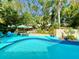 Beautiful backyard pool surrounded by lush greenery and patio furniture, ideal for outdoor living at 1330 Belcher Dr, Tarpon Springs, FL 34689