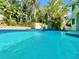 Beautiful backyard pool with blue tiling and ladder for access, surrounded by lush greenery at 1330 Belcher Dr, Tarpon Springs, FL 34689