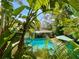 View of lush backyard pool surrounded by palms and banana trees at 1330 Belcher Dr, Tarpon Springs, FL 34689
