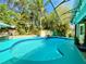 Beautiful backyard pool with blue tiling and ladder for access, surrounded by lush greenery at 1330 Belcher Dr, Tarpon Springs, FL 34689