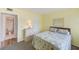 Well-lit bedroom with carpet and adjacent bathroom at 14130 Rosemary Ln # 4115, Largo, FL 33774