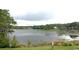 Picturesque view of the calm lake surrounded by natural greenery, perfect for relaxation and enjoying the scenery at 14667 Pine Glen Crk # 14667, Lutz, FL 33559
