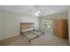 Bedroom with neutral carpet, ceiling fan, and large window at 15006 Shaw Rd, Tampa, FL 33625