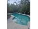 Relaxing backyard pool surrounded by lush greenery, ideal for summer enjoyment at 1831 Pasadena Dr, Dunedin, FL 34698