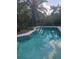 Sparkling pool with palm trees, perfect for swimming and enjoying the weather at 1831 Pasadena Dr, Dunedin, FL 34698