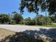 Image of the house viewed from the road with trees obscuring view at 2402 E 148Th Ave, Lutz, FL 33549