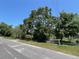 View of property including a large tree providing shade to a metal carport at 2402 E 148Th Ave, Lutz, FL 33549