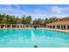Large community swimming pool to enjoy those hot summer days! at 31108 Whitlock Dr, Wesley Chapel, FL 33543