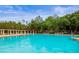 The community features a large swimming pool surrounded by greenery at 31108 Whitlock Dr, Wesley Chapel, FL 33543