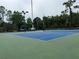 Outdoor tennis courts available for residents with lighting for evening play at 31108 Whitlock Dr, Wesley Chapel, FL 33543