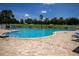 Beautiful community pool with sun loungers and umbrellas, surrounded by palm trees under a sunny sky at 3201 Pine Top Dr, Valrico, FL 33594