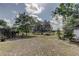 Expansive backyard featuring mature shade trees and lush green grass at 34389 Orchid Pkwy, Ridge Manor, FL 33523