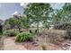 Expansive backyard with mature trees, sitting area, and lush landscaping at 34389 Orchid Pkwy, Ridge Manor, FL 33523