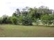Fenced backyard featuring a green lawn, mature trees, and a chain-link fence at 4657 Parkway Blvd, Land O Lakes, FL 34639