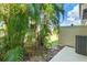 Enclosed backyard featuring tropical landscaping and shade providing backyard oasis at 5024 Sylvester Loop, Tampa, FL 33610